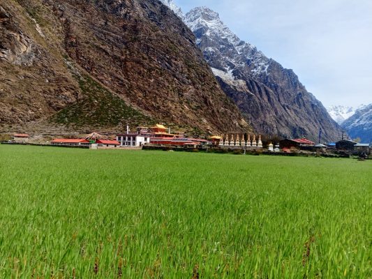 Rachen gompa and its surrounding