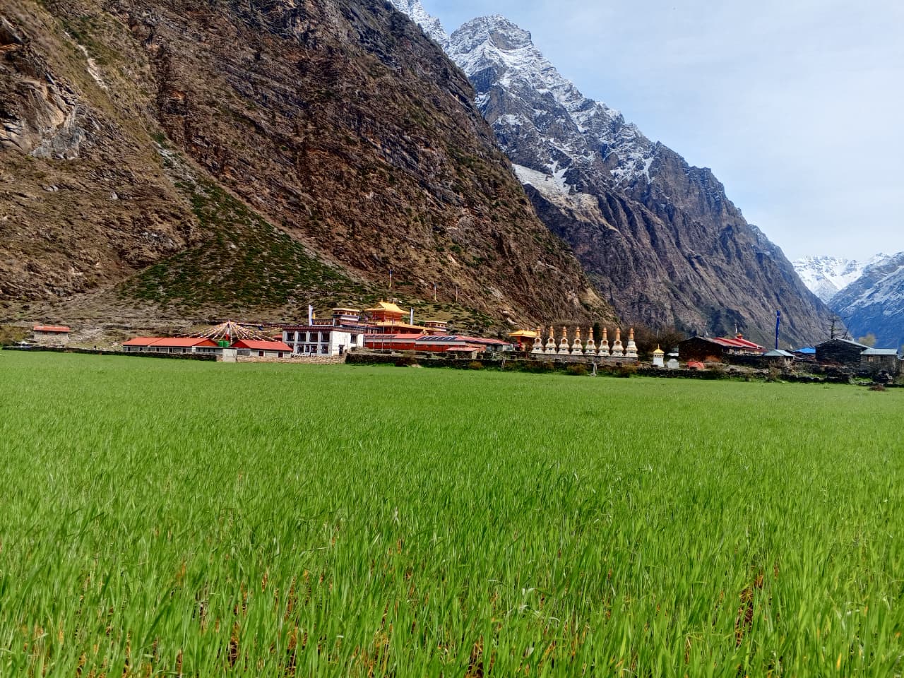 Rachen gompa and its surrounding