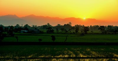 tour-pokhara