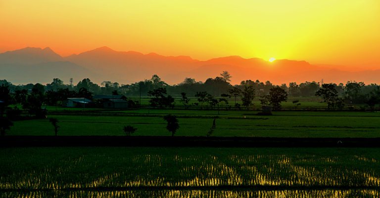 Nepal Cultural Safari Tour