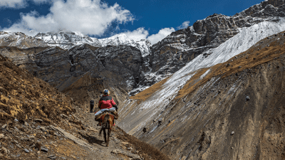 Thorung-Phedi