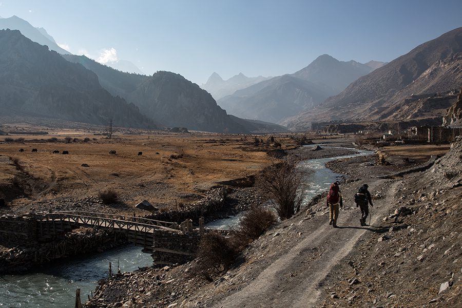 Traditional stone houses and terraced fields in Manang village on the Annapurna Circuit trek at 3,519m