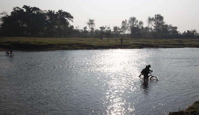 Ride around chitwan National park