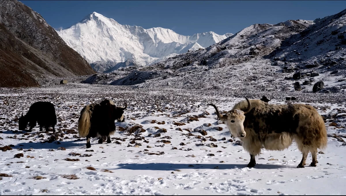 Gokyo Ri mountain panorama