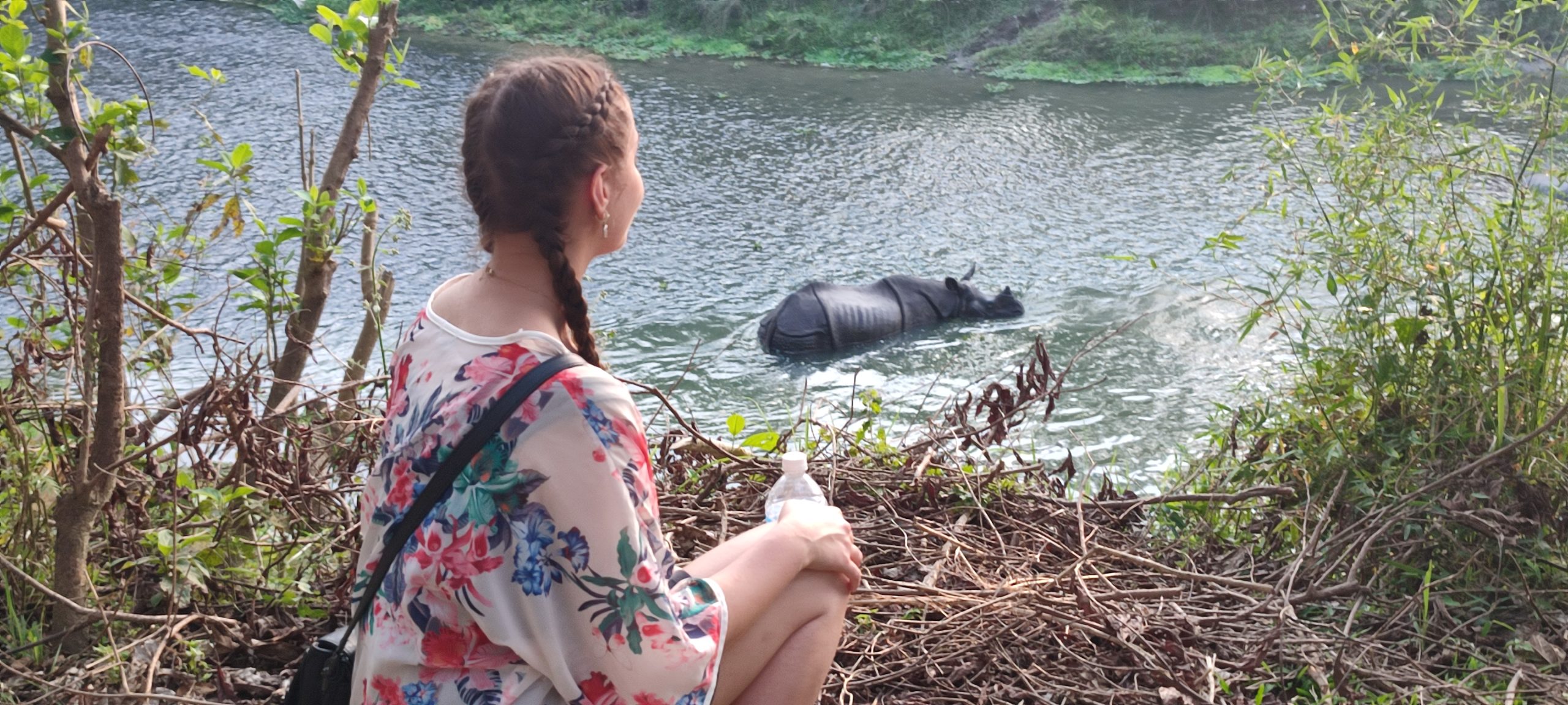 Rhino in the grassland of Chitwan National Park