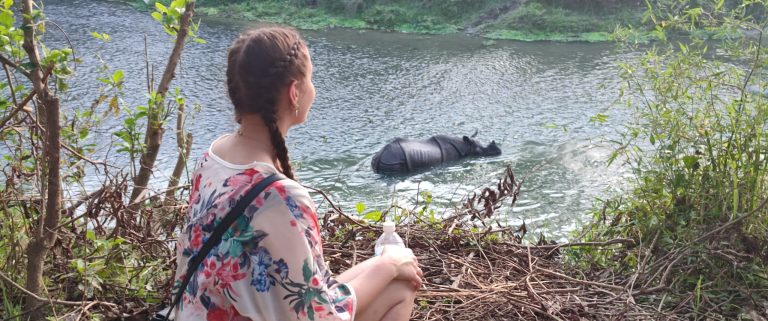 Rhino sighting in Chitwan National Park during jungle safari
