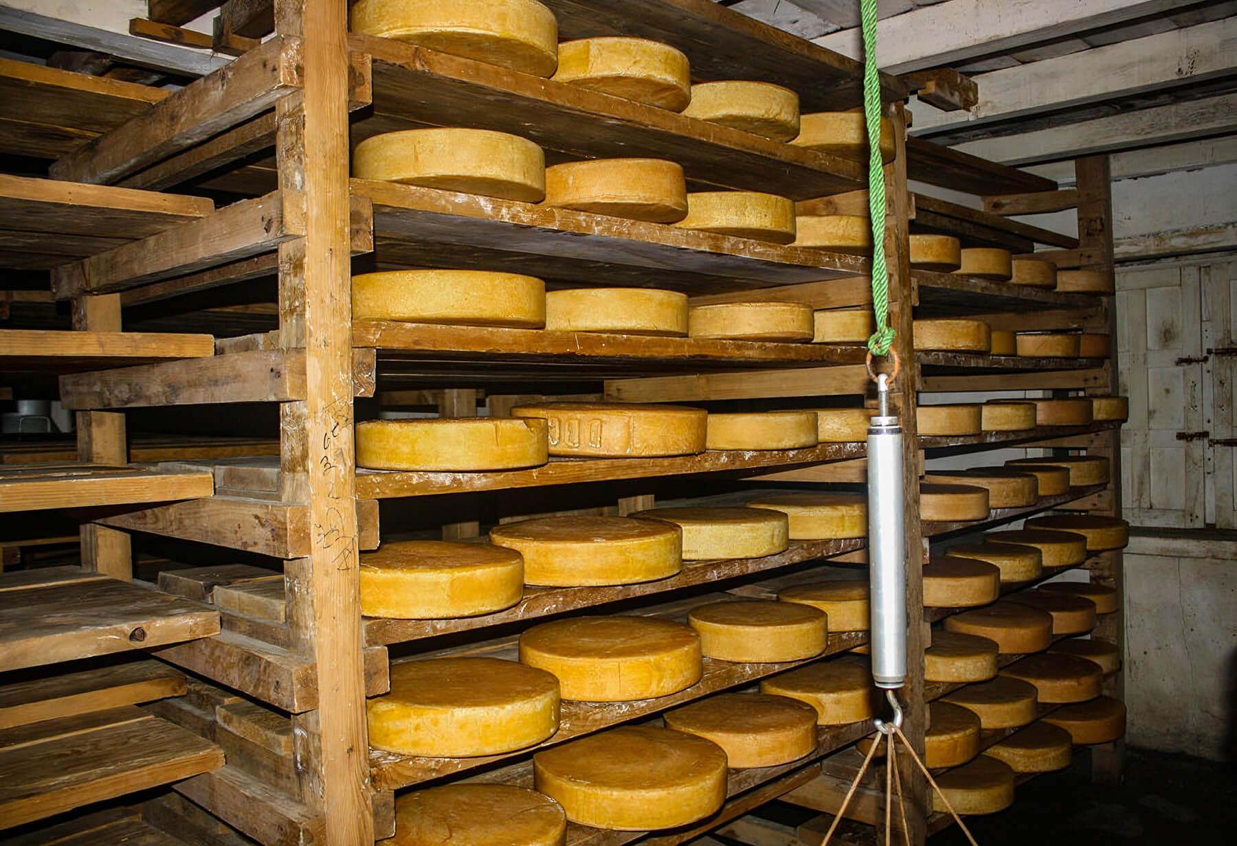 Yak cheese factory at Kyanjin Gompa