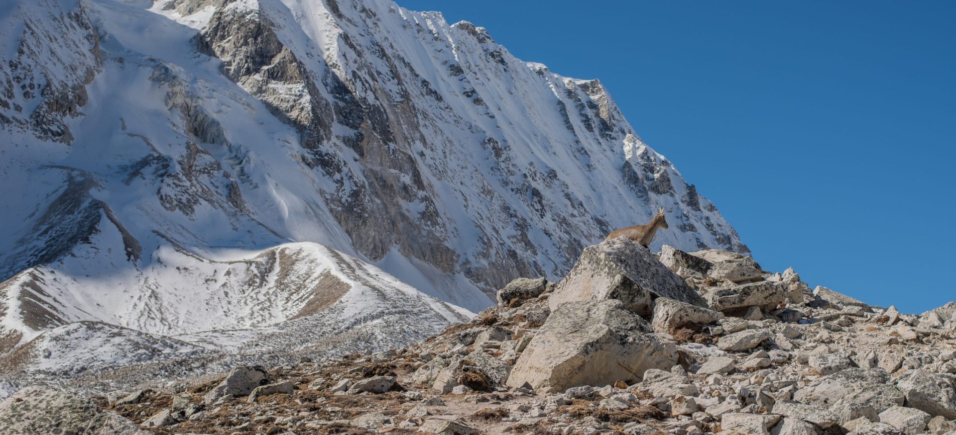 Larkey Pass Manaslu Trek