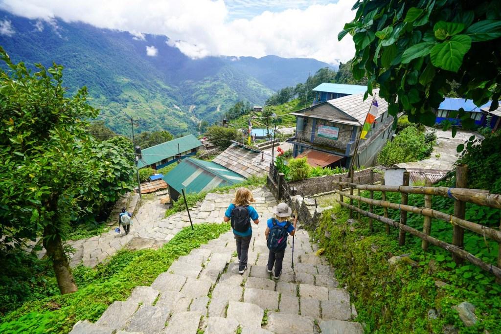 Trekking trail through forest between Tadapani and Ghandruk
