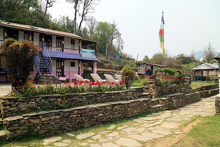Pothana village on the Mardi Himal trek